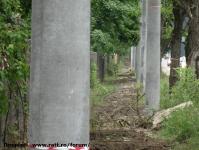 Imagine atasata: Extindere troleibuz Calea Lipovei - 2015.05.28 - 15.jpg